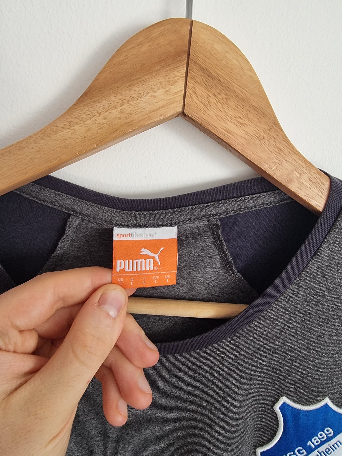 Puma 1899 Hoffenheim Training Top Large